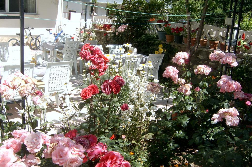 Sehsuvar Peace Pension Egirdir Εξωτερικό φωτογραφία